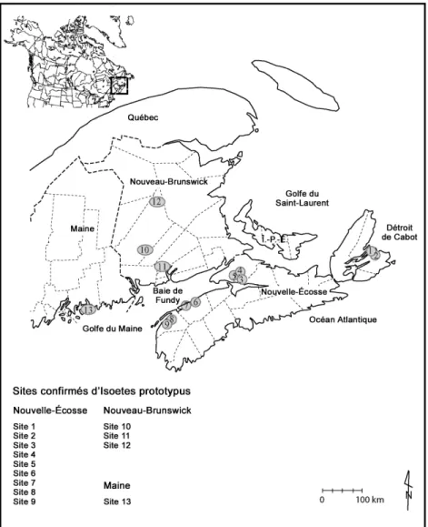 Figure 7. Aire de répartition mondiale de l’Isoetes prototypus.