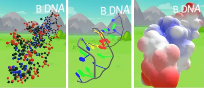 Figure 2: Different Visualizations of B DNA. Here we see three different visualizations of  B DNA