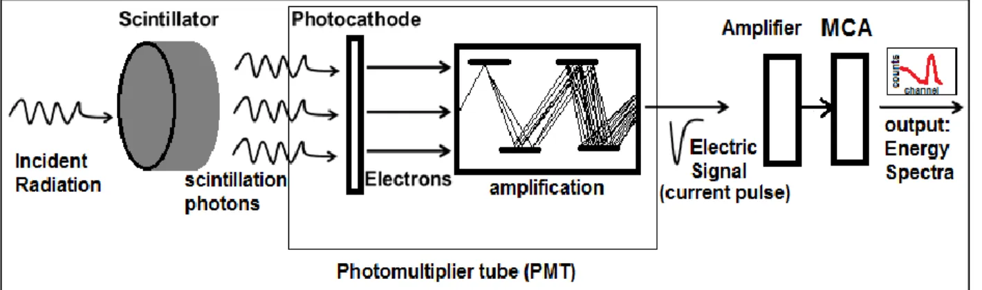 Figure  2:  Schematic  of  a  scintillation  spectrometer.  The  incident  radiation,  shown  on  the  left,  causes scintillations producing photons of light when it interacts with the scintillator