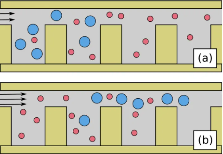 FIG. 1. A schematic of electrophoretic sorting of particles by size in the slit-well device
