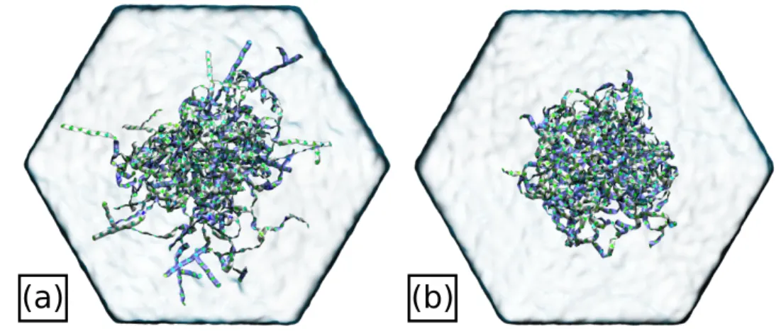 Figure 4.1: Simulation photos of the phytoglycogen nanoparticle at (a) t = 0 ns and (b) t = 400 ns.