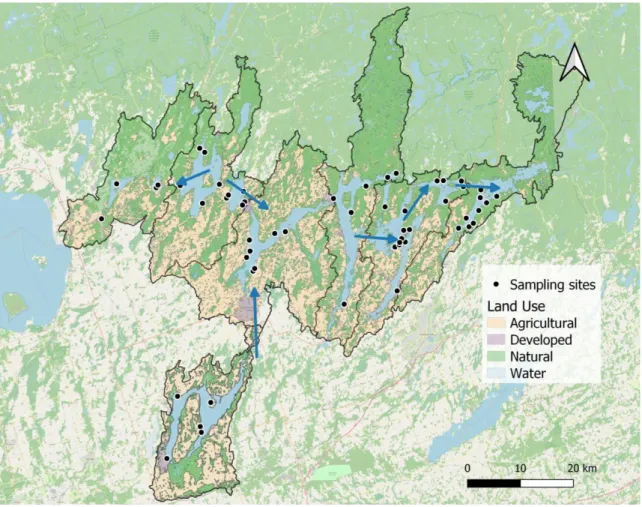 Figure 4.1 Map of 2020 water sampling sites in 16 Kawartha Lakes, arrows indicate the direction  of water flow through the system and watersheds are outlined in black 