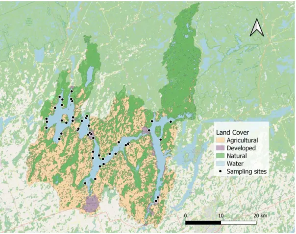 Figure 5.1 Water quality sampling sites (n = 47) and watershed land use for Balsam, Cameron,  Sturgeon and Pigeon lakes