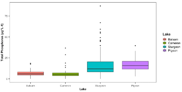 Table B1.2). Phosphorus levels indicate oligotrophic status for Balsam and Cameron  lakes and mesotrophic status for Sturgeon and Pigeon lakes (Figure 5.2)