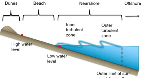Figure 1.8 Physical nearshore zone of a lake. 