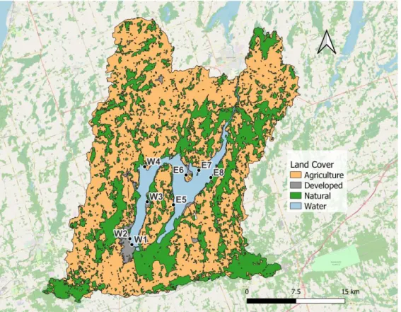 Figure 3.1 Map of Lake Scugog sampling sites and watershed land use, categorized in QGIS  (version 3.12.0) as either agricultural, natural, or developed from provincial land cover files  (Natural Resources Canada, 2015).