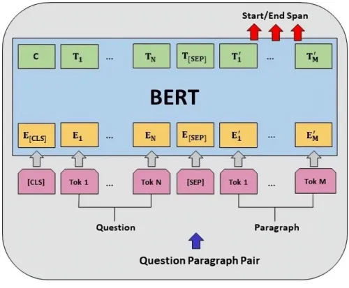 Figure 2.7: BERT fine-tuning procedure for question-answering task. Despite different output layers, the same structure is used for both pre-training and fine-tuning.
