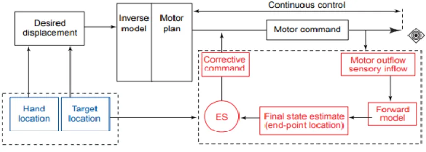 Figure 1 Dual model of movement control. 