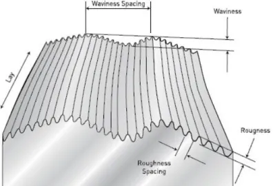 Figure 2-10 Schematic of a surface roughness device based on magnifying the surface  topographies [24]