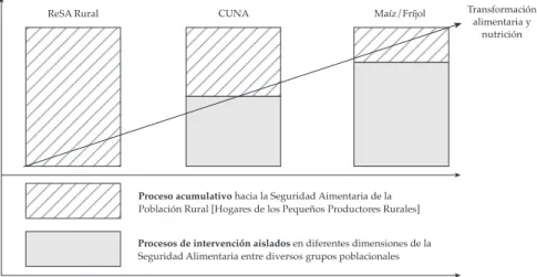 Gráfico 4. Los procesos acumulativos y de transformación en los hogares