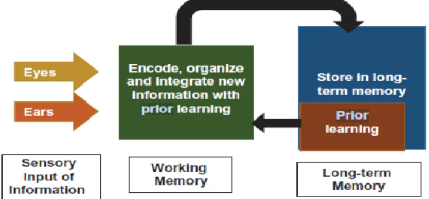 Figure 11  The Brain Assimilating New and Prior Knowledge 