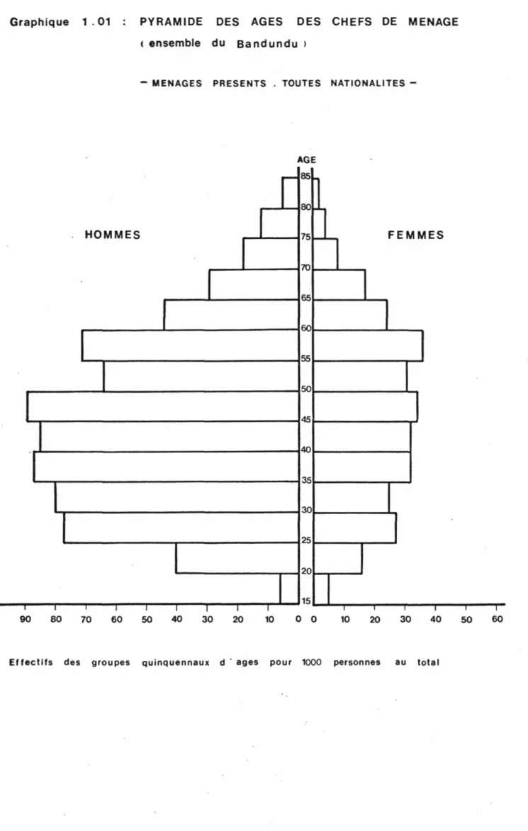 Graphique 1.01 : PYRAMIDE DES AGES DES CHEFS DE MENAGE 