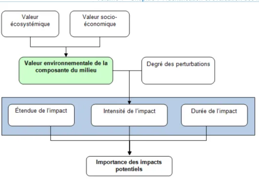 Figure 7-2 : Évaluation de l’importance de l’impact potentiel 