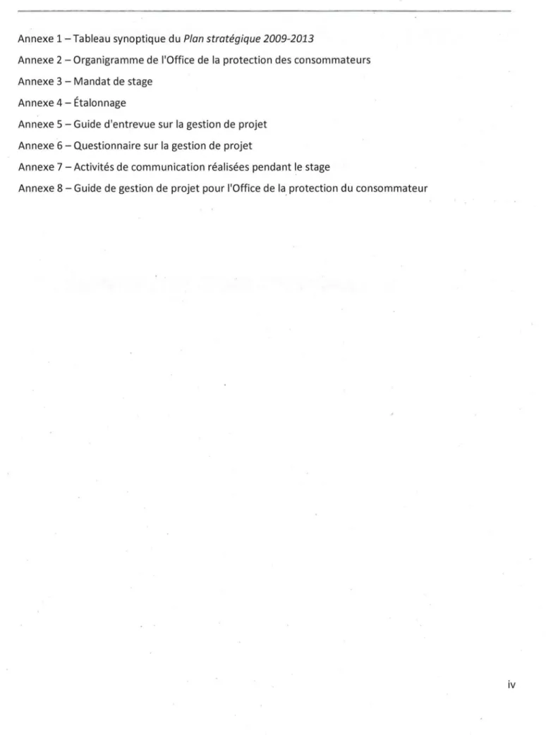 Annexe 1- Tableau synoptique du  Plan stratégique 2009-2013 