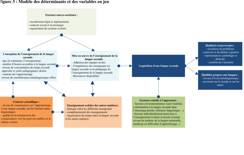 Figure 3 : Modèle des déterminants et des variables en jeu 