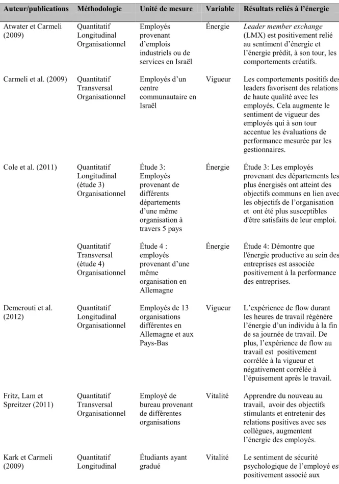 Tableau 1.3  Synthèse des études reliées à l’énergie 