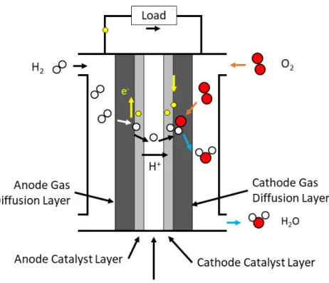 Figure 1.1: Operating principle of the PEM fuel cell