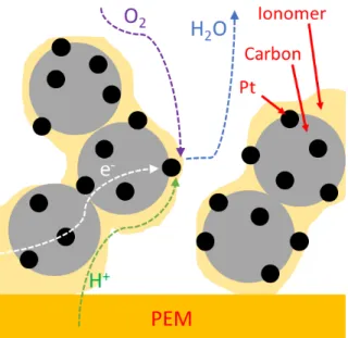 Figure 1.2: Conventional cathode CL structure
