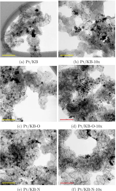 Figure 4.3: TEM images of all catalysts captured at 100kx magnification (scale bars are